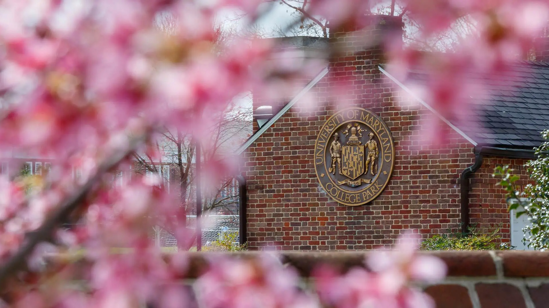 Highlights of the new U.S. News & World Report graduate program rankings for UMD include No. 3 nationwide for student counseling, No. 4 for education psychology and No. 3 for homeland security. Photo by Dylan Singleton.