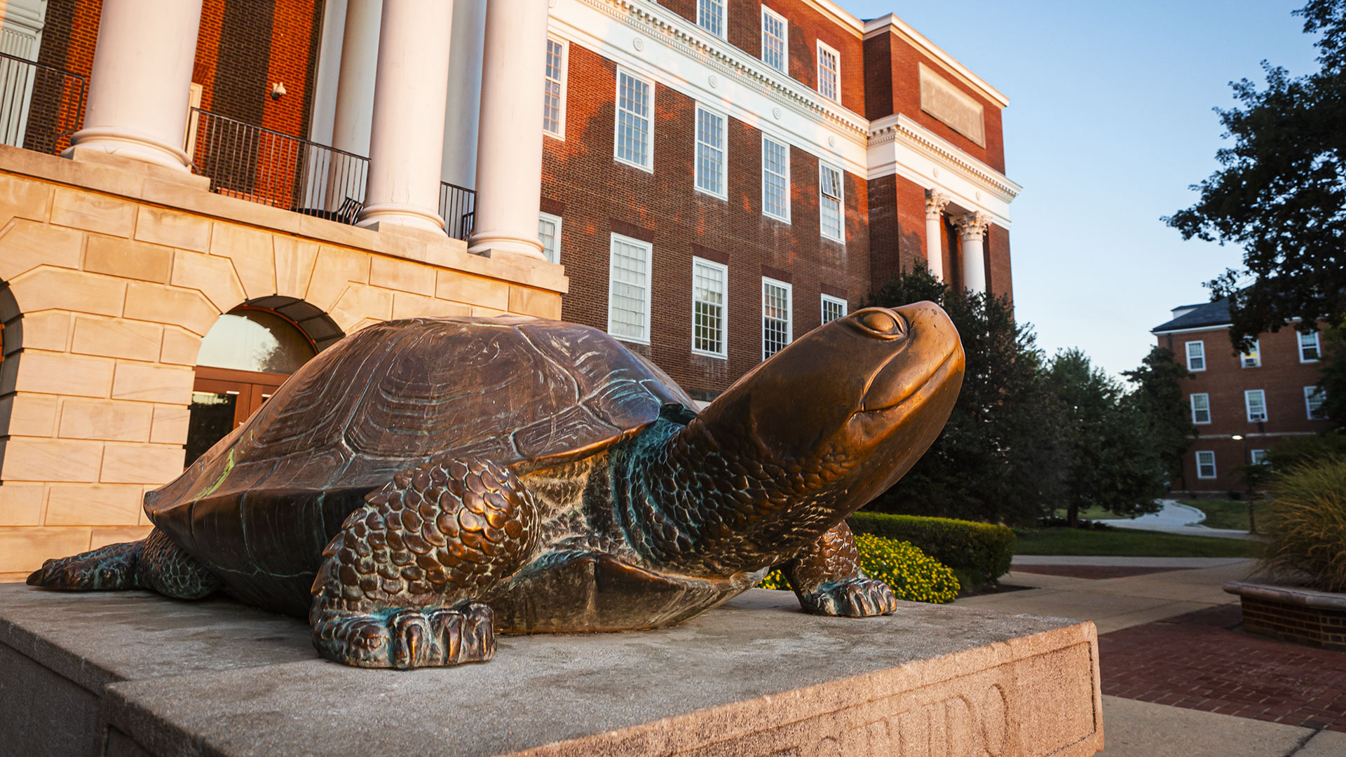 Testudo Statue at sunrise outside of McKeldin Library at the University of Maryland